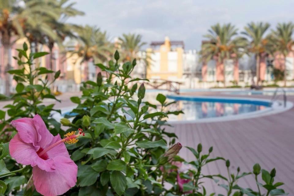 Atico Del Sol Laguna Beach Vera Playa المظهر الخارجي الصورة